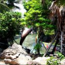 힐링카약파크비체올린 이미지