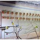 유이농장 | 남해양떼목장겨울 여행지 추천 남해상상양떼목장편백숲에서 힐링 체험