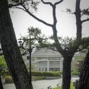 박물관을 탐(耽)하다 - 국립 전주 박물관 역사실 1. 잔무늬거울, 고창 봉덕리 금동장식신발 (1/10)