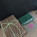 반려동물 토탈 케어 | 강아지 구토·공복토 걱정? 오아가 뮤커스케어 반려동물영양제 솔직 후기