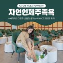 제주시 자연인 네이버블로그