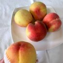 박씨농장 이미지