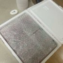 홈딸기농원 | 류권호농원 겨울 논살딸기 설향딸기 솔직 후기 홈파티 딸기