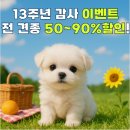 아이러브독 강아지 부천점 이미지