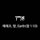 에레츠 이미지