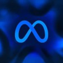 (주)메타랜드 이미지