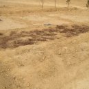 아랑농장 이미지