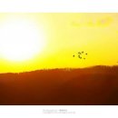 안샘 - 서대문구 가좌로 147 | 안샘