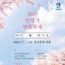 벚꽃 아직 못 봤다면...수원시 7~8일 &#39;만석거 벚꽃 축제&#39; 개최 이미지