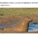 유박사곱창 - 구리시 안골로103번길 56 | 유박사곱창