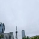 추부문화의집 | 일본 나고야성, 야바톤, 나고야, 도바, 돌고래섬!