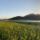 신기강변로 네이버블로그