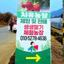 경기도 양평군 사랑나무어린이집 | 경기양평 생생딸기체험농장 단월면 수미마을 아이와 함께하기 좋은 곳