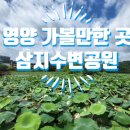 삼지수변공원 이미지