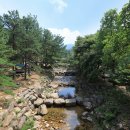 성주봉자연휴양림 야영장 이미지