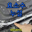 아우디 A5 - 요소수 누설 정비, 경동오토미션 입고 이미지