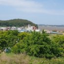 청춘풍차펜션 이미지