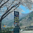 홍인펜션 | 하동 홍인펜션 후기(내돈내산)