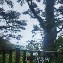 골드스톤호텔 | [부산2박3일 일정] 셋째날, 뚜벅이로 태종대, 흰여울문화마을 둘러보기
