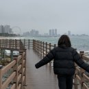분식, 사바 불닭치킨, 마카오박 에그타르트, 크로프트 커피, 외옹치 바다 향기로, 속초항 생선구이찜 전문