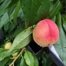 양촌마을 이미지