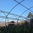 미로정원마을 | 동두천 데이트 가볼만한곳 작은 일본마을 니지모리스튜디오 솔직후기(사진많음)