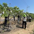 자산동행정복지센터 이미지