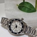 양지-3145 이미지