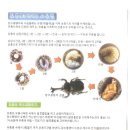 기쁨어린이집 이미지