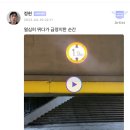 오늘은 즐크!!☺️ 이미지