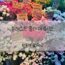 블레스드플라워마켓안녕인