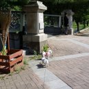 개린이날 이미지