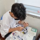 빛가람중학교 이미지