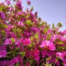 초막골 생태공원 이미지