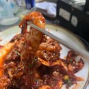 강남안마나라