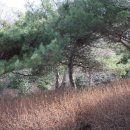 옥구지역아동센터 이미지