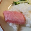 차암조은참치 이미지