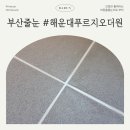 해운대역푸르지오더원 | 부산 해운대역 푸르지오 더원 화장실 줄눈은 무조건 아스팍샤인