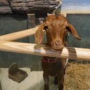 진호축산 이미지