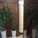 종로한의원 이미지