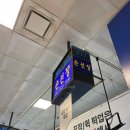 영건상회 | 노량진 수산시장 하늘채 별관(손선장 오마카세/줄포상회 킹크랩/영건슈림프)