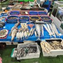 뻘낙지수산 | 광주 매월동 서부수산시장 추천매장 - 49번 명진 방문 후기(킹크랩, 전복, 수산물)