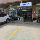 동탄 애견카페 추천_개나리공원 디저트 맛집 플랜피 솔직후기