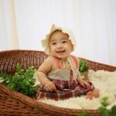 베리스튜디오 이미지