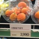 동주분식 | 이를 악물지 말고 이를 앙 물어봐요