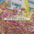 희망공원-공원로 이미지