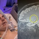 더(the)큰병원 이미지