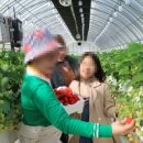 서산기쁨농장 이미지