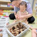 6월 25일 씨앗반 (자연물을 탐색해요) 이미지