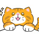 새싹원식품 이미지